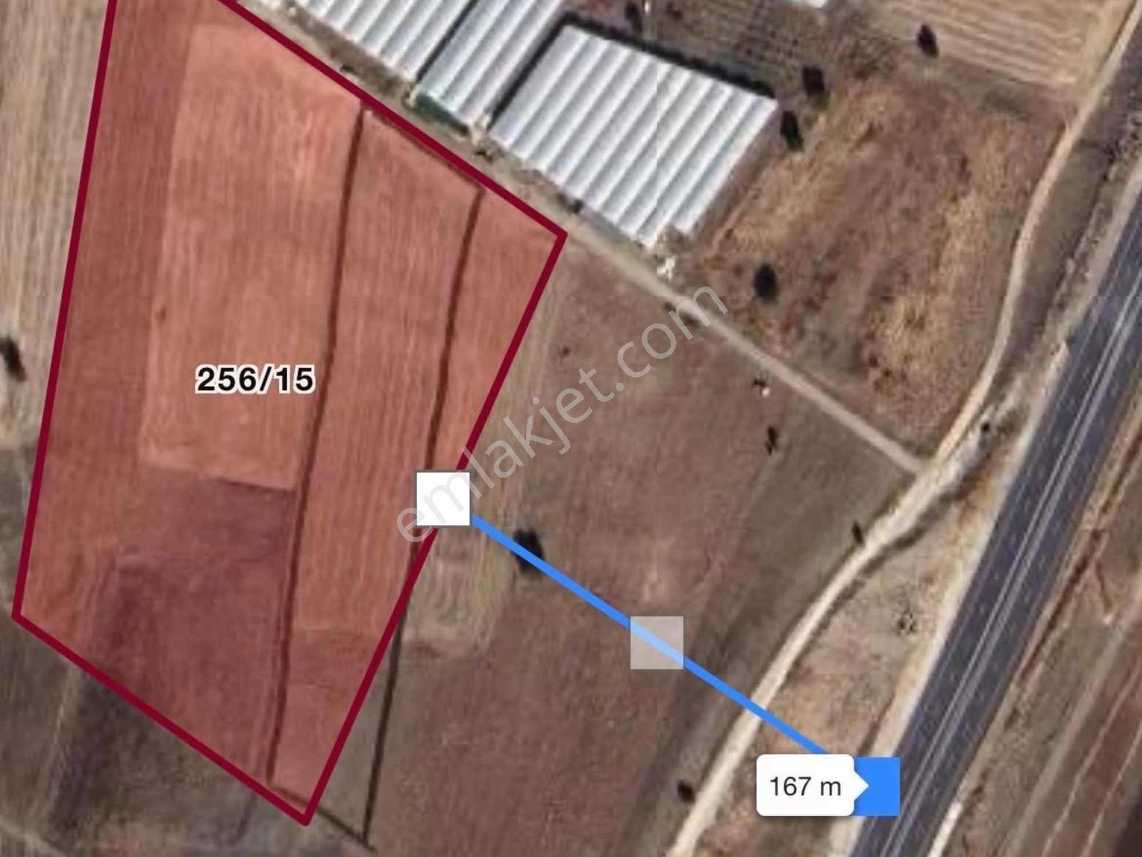 Tefenni/beyköy| Sera, Depo, Sulu Tarım| Ana Yola Yakın|29.208 M² - Görsel 4