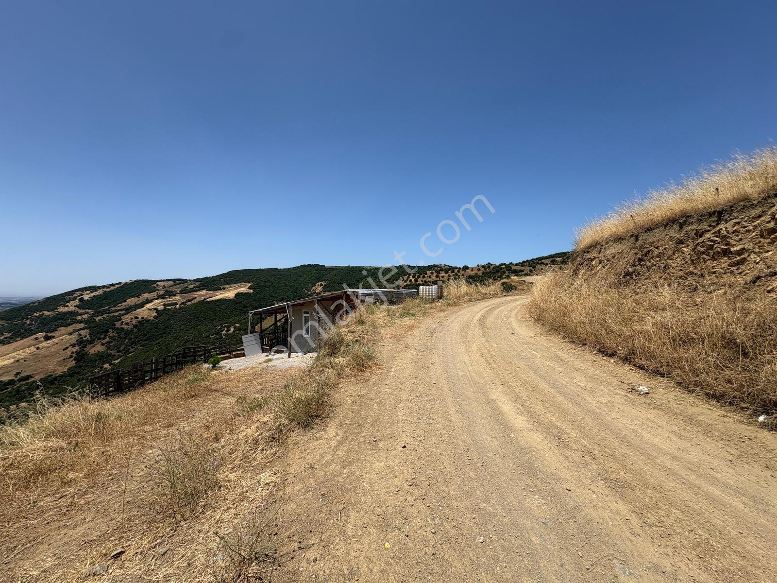 Mudanya Çepni Köyde 3354m² Yapı Kayıtlı Satılık Tarla - Görsel 10