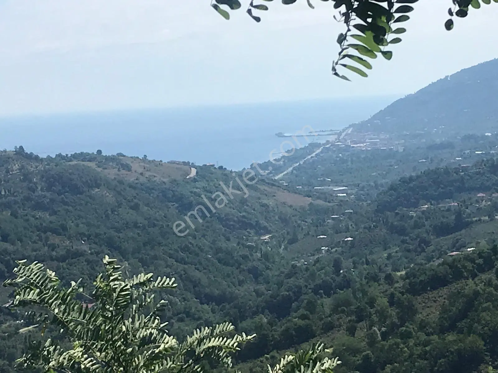 0rdu Perşembe Saray Mahallesinde Manzaralı 5001 M2 Satılık Fındık Bahçesi. - Görsel 2