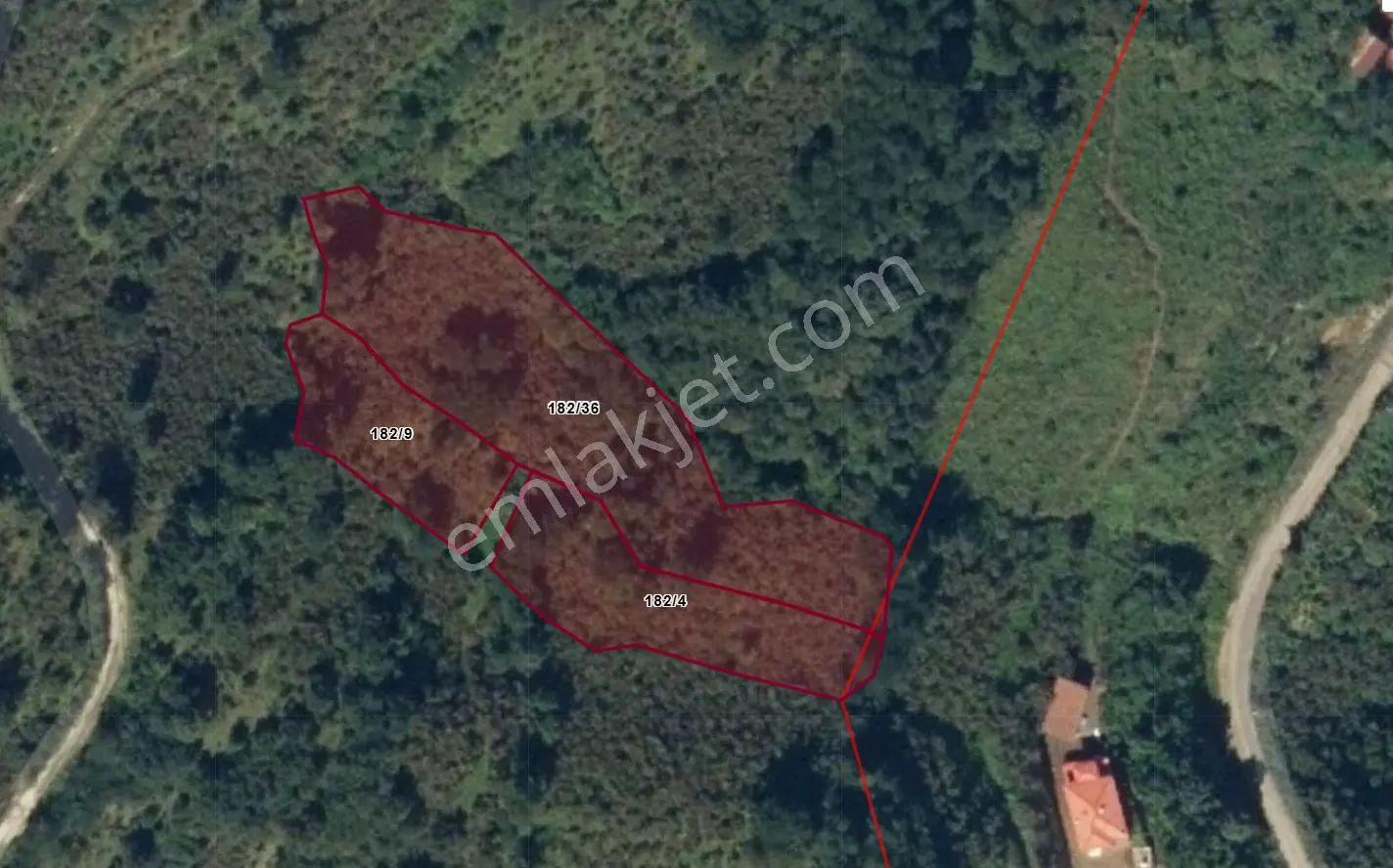 0rdu Perşembe Saray Mahallesinde Manzaralı 5001 M2 Satılık Fındık Bahçesi. - Görsel 3