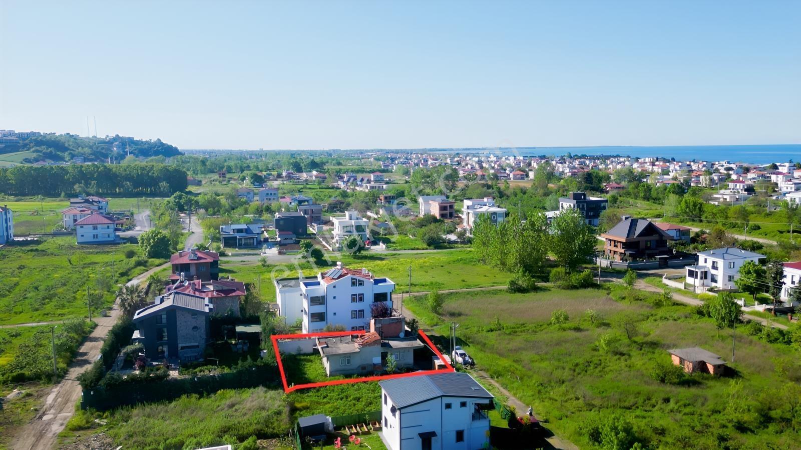 Samsun Taflanda İçerisinde Ev Olan Satılık Ars - Görsel 6