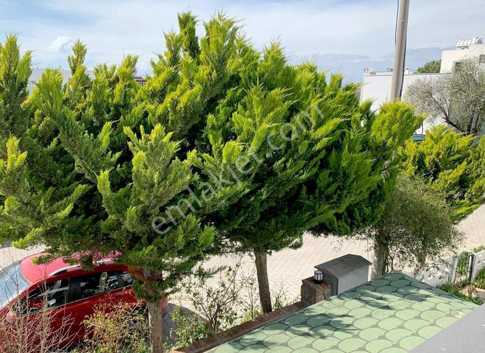 Turgutreis Marina'ya Yürüme Mesafesinde 3+1 Müstakil Villa - Görsel 14