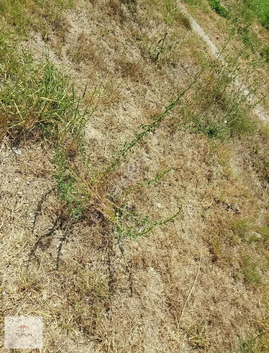 Fethiye Yakacık Tarla