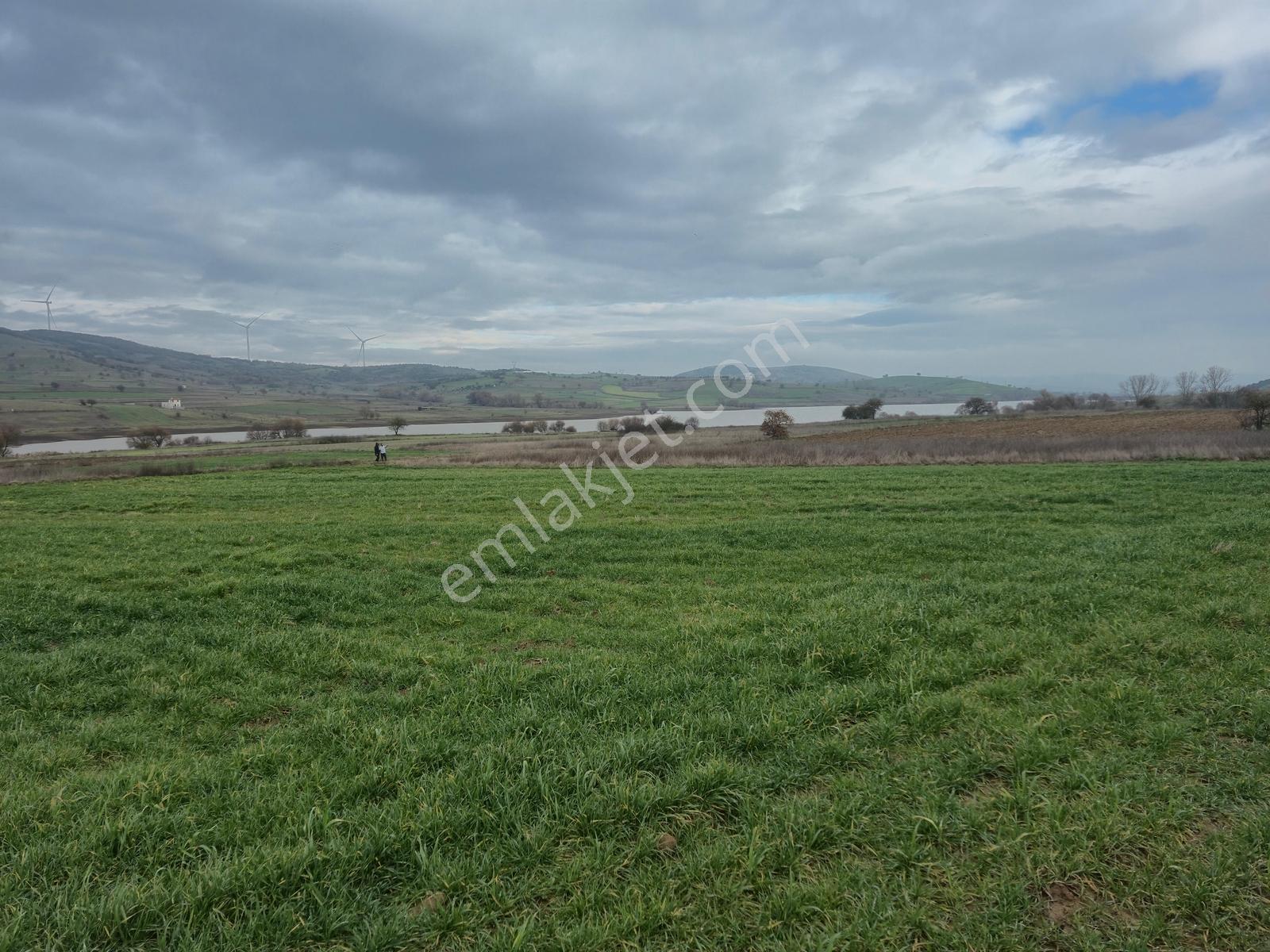 Mir Den Balıkesir Kırmızılar Mah. 7.474 M2 Satılık Tarla - Görsel 4