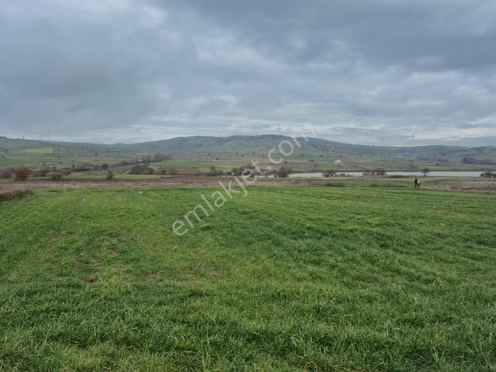 Mir Den Balıkesir Kırmızılar Mah. 7.474 M2 Satılık Tarla - Görsel 2