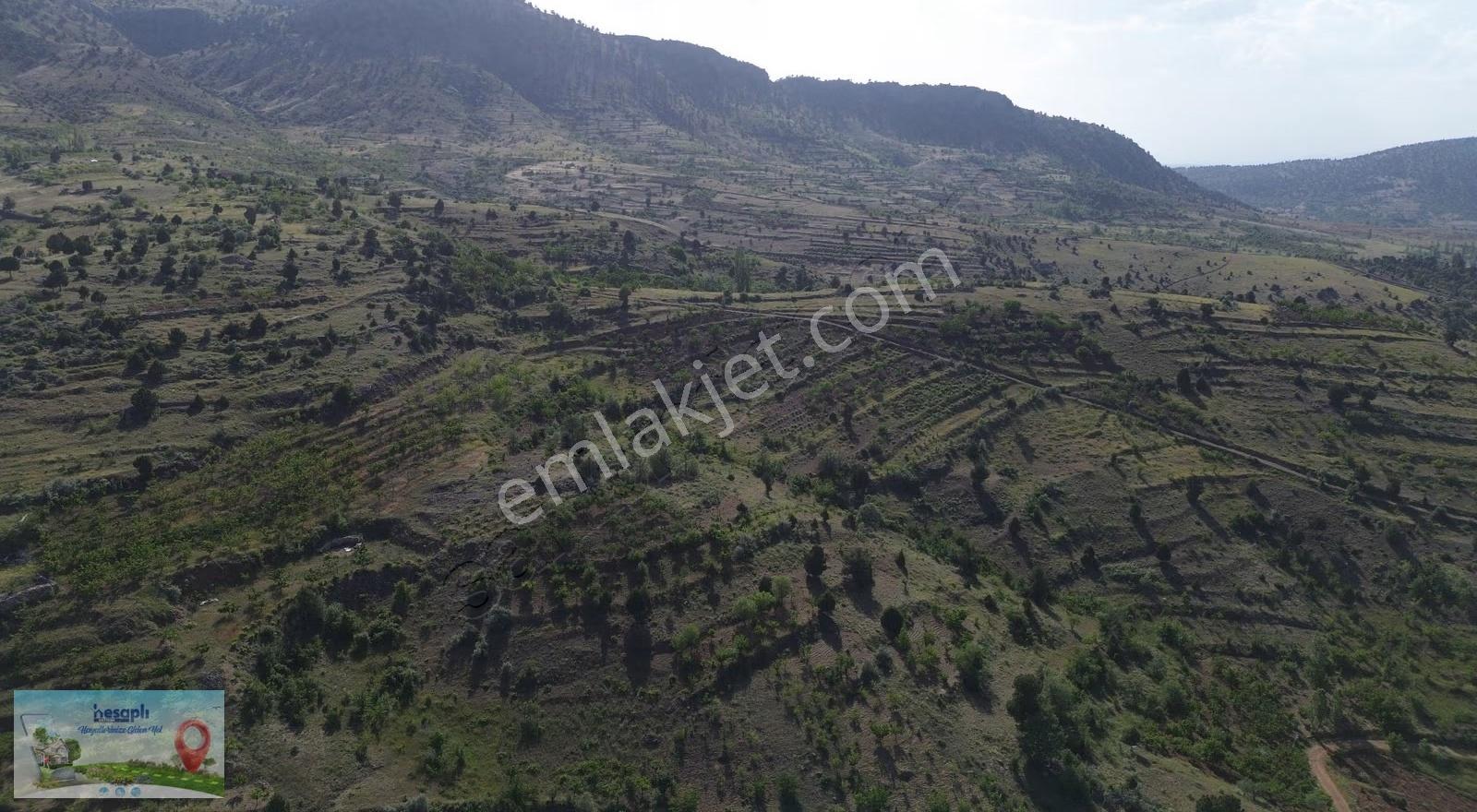 Bozkır Hacılar Mahallesinde 1.043 M² Müstakil Tapulu Bağ - Görsel 3