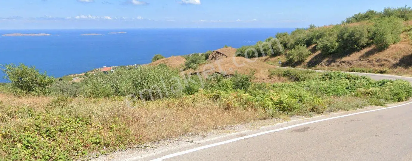 Balıkesir Bandırma Sahil Yenice'de Deniz Manzaralı Satılık Tarla - Görsel 5