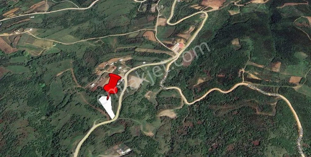 Balıkesir Bandırma Sahil Yenice'de Deniz Manzaralı Satılık Tarla - Görsel 3
