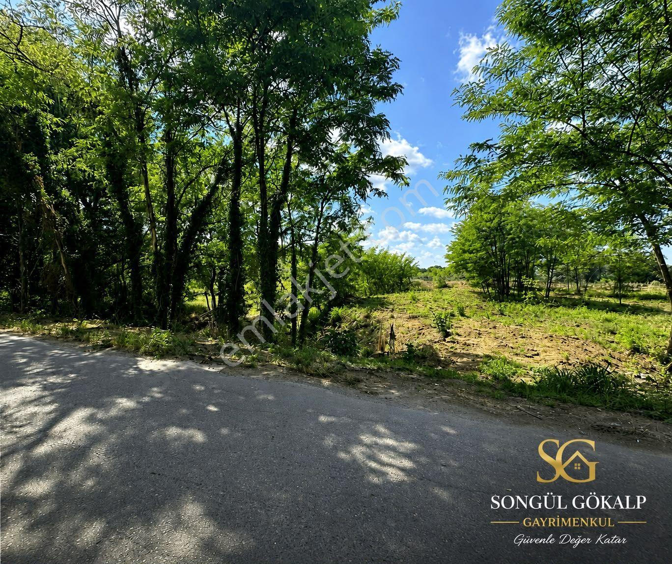 Ana Yola Cephe | 849 M² Ticari + Konut İmarlı Arsa | Limandere / Karasu - Görsel 4