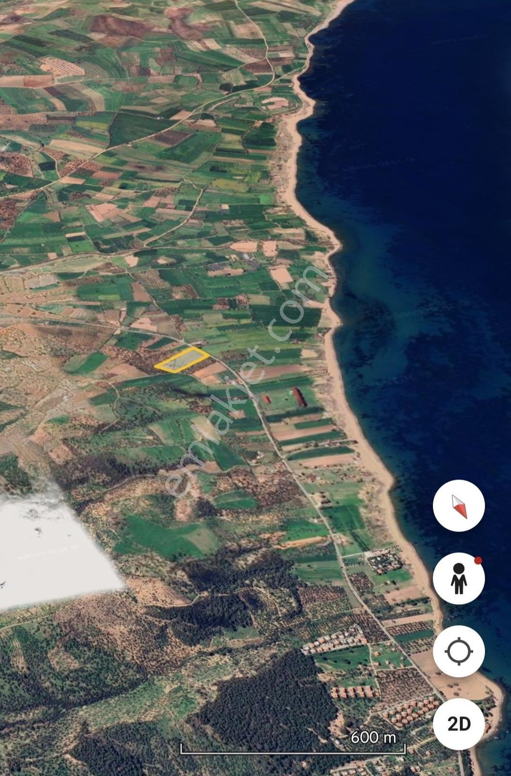 Ayvacık Kösedere Sahil Aksında Projeye Uygun 17,2 Dönüm Zeytinli - Görsel 13