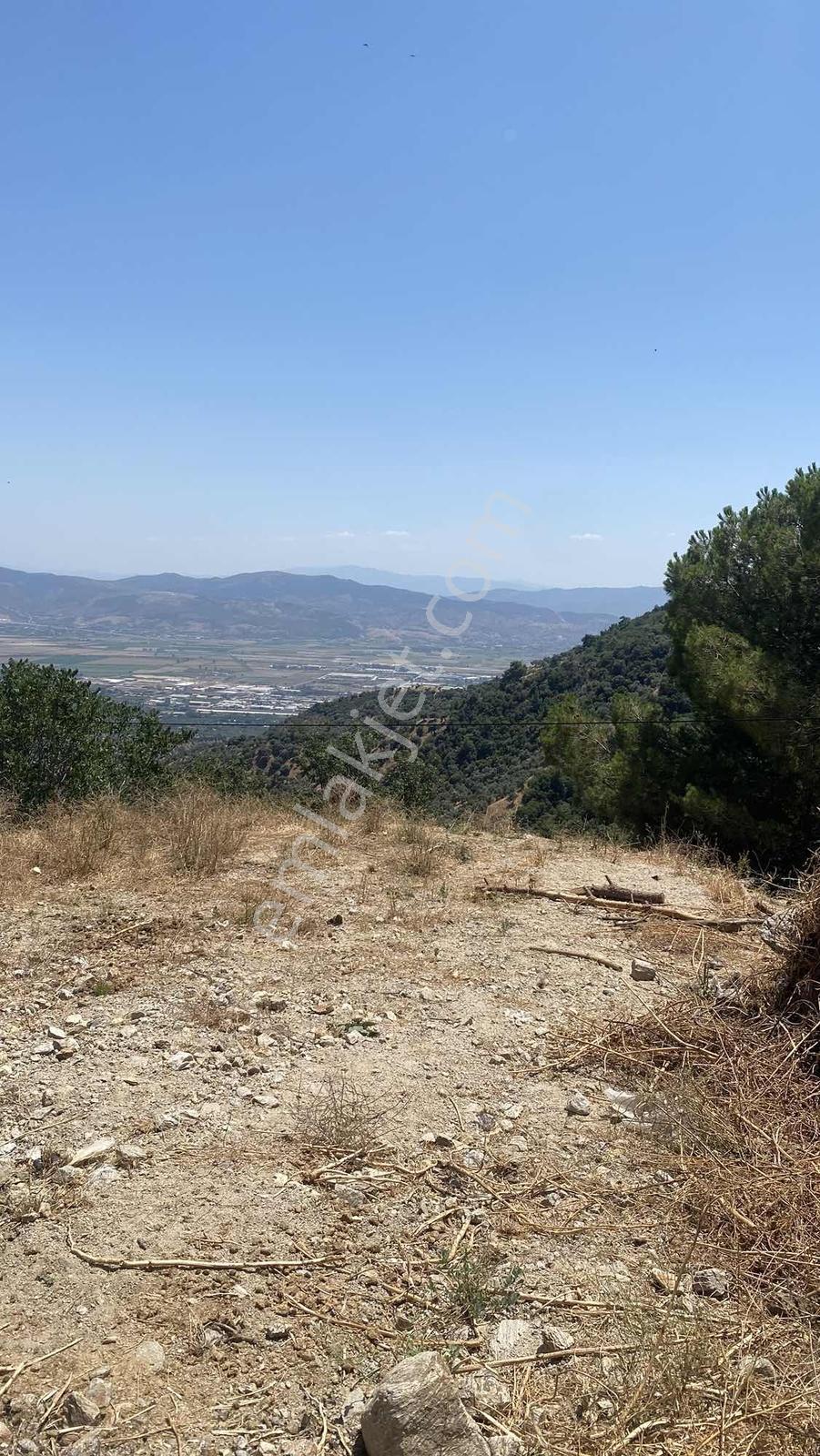 Efeler Doğan Mahallesinde 2 Kat Köy İmarlı 448 M2 - Görsel 4