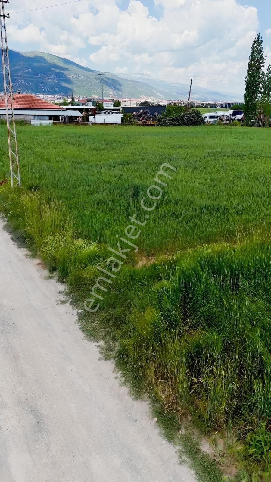 Yeni Antalya Yolu Devlet Hastanesine 900 M Muhteşem Yatırımlık - Görsel 2