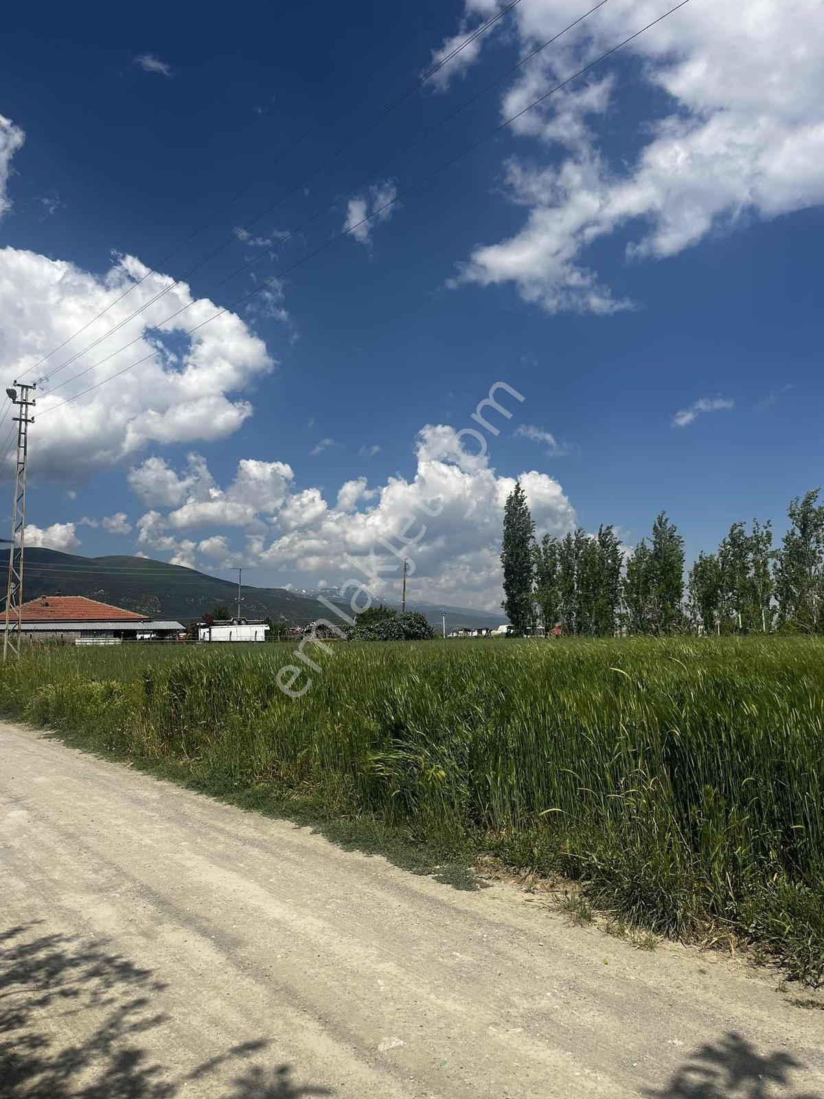 Yeni Antalya Yolu Devlet Hastanesine 900 M Muhteşem Yatırımlık - Görsel 10