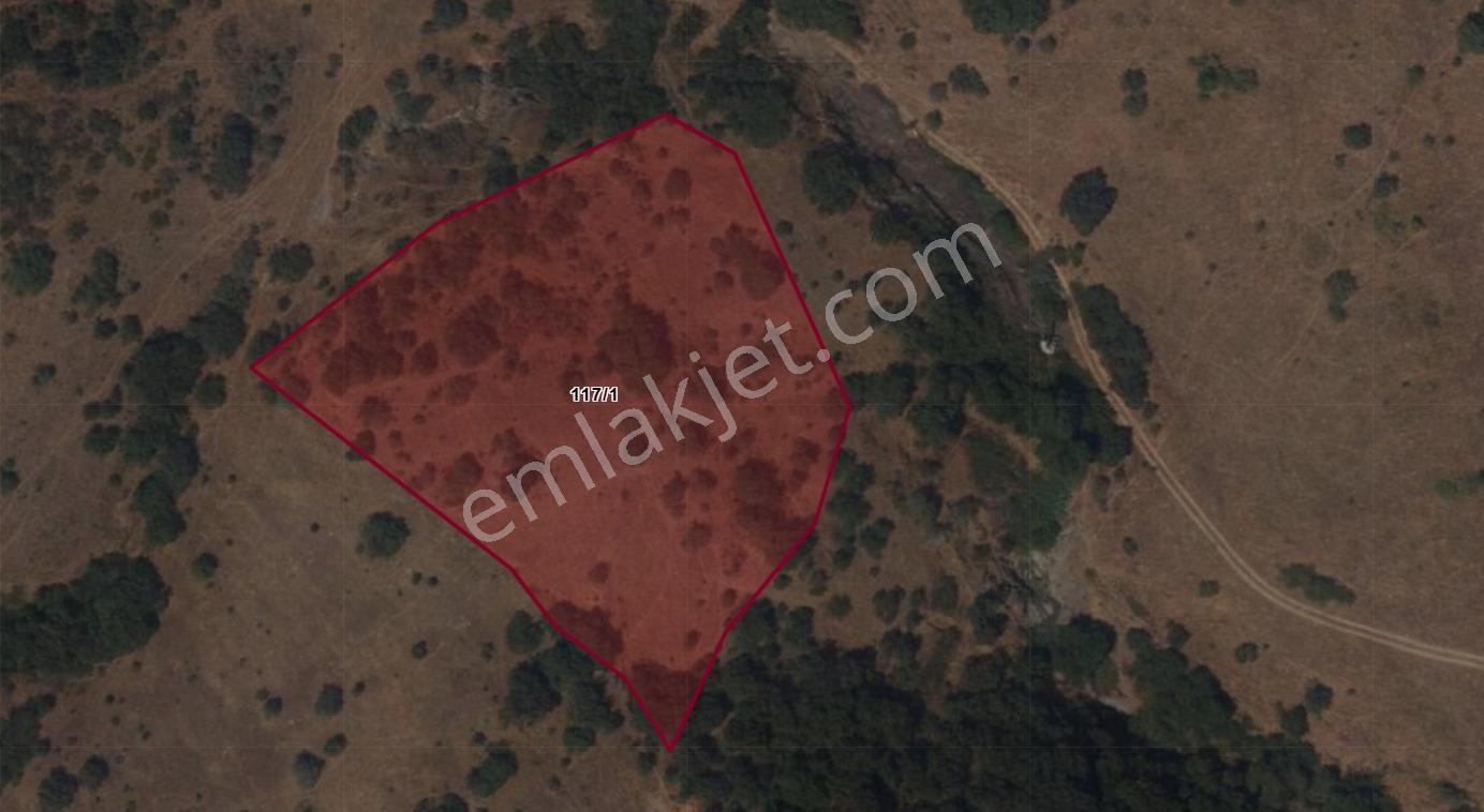 Mir'den Balıkesir Karakaya Mah'de 5799 M2 Satılık Tarla