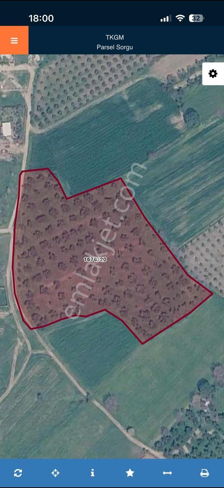 Mega Gayrimenkulden Çandarlı Da Satılık Zeytinlik