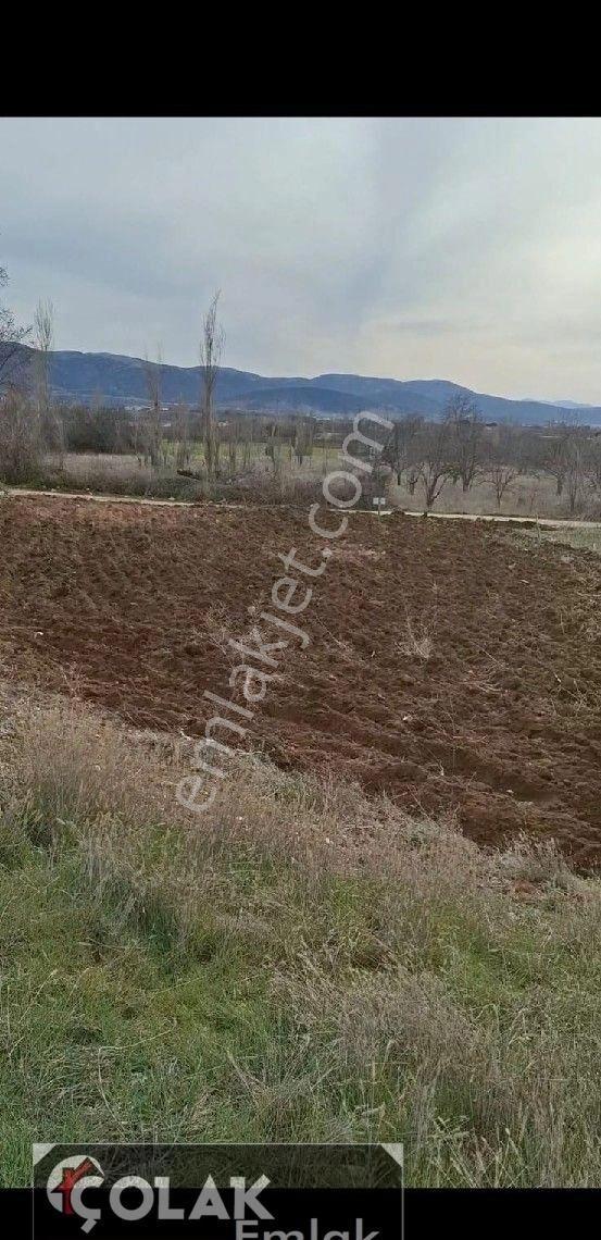 Harmanören De Yatırımlık Yola Sıfır Arazi - Görsel 12