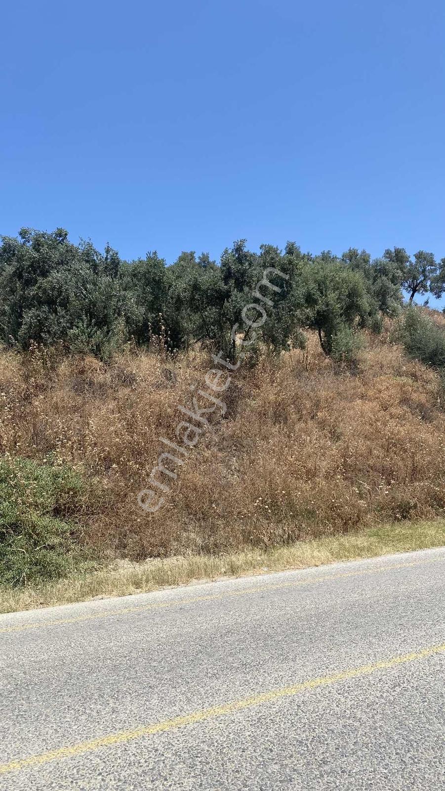 Hıdırbeyli Baraj Manzaralı | Asfalt Cepheli | 2.603 M² Tarla - Görsel 7