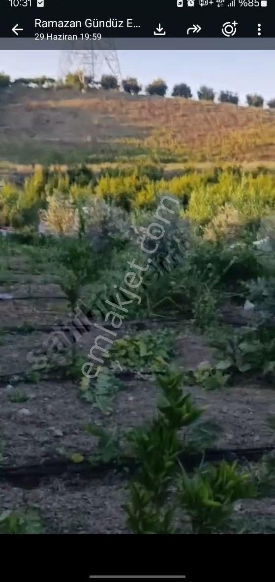 Genç Emlak'tan Akdeniz Hebilli'de Satılık 3537m Bahçe - Görsel 8