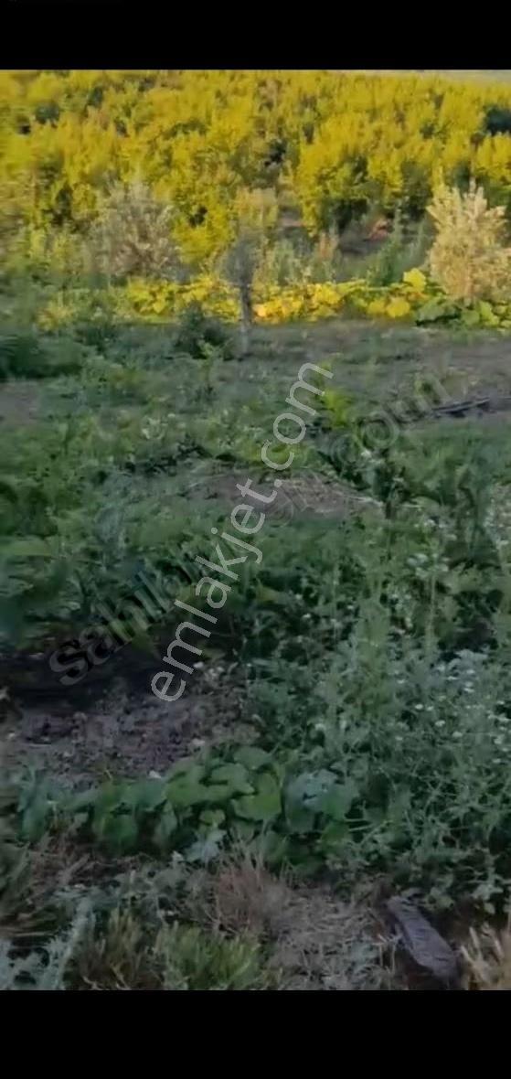 Genç Emlak'tan Akdeniz Hebilli'de Satılık 3537m Bahçe - Görsel 5