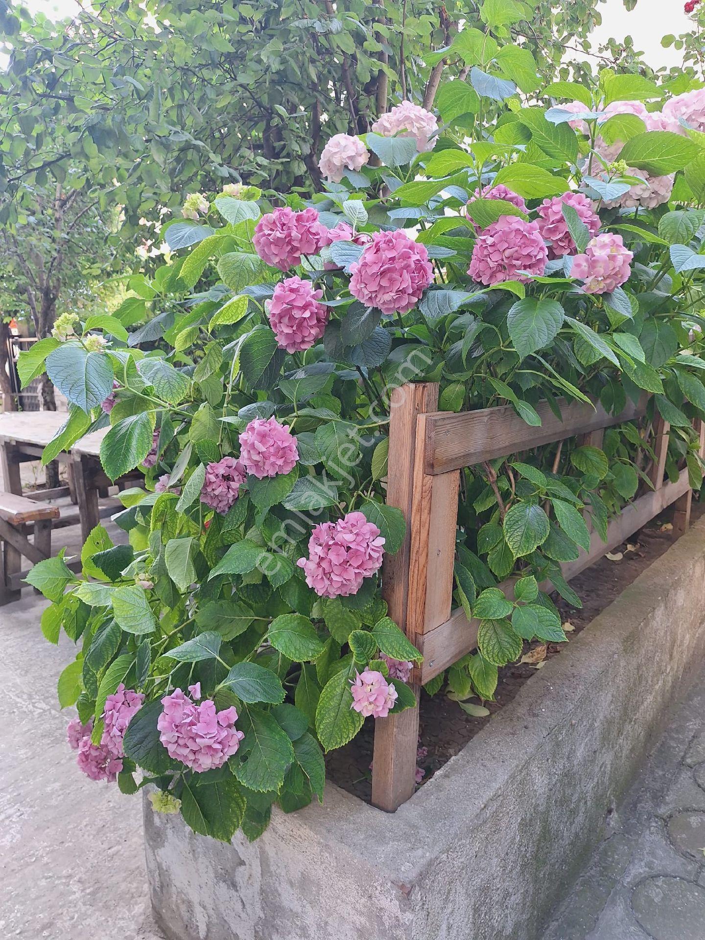 Tekirdağ Çerkezköy Anfi Yanında Eşyalı Kiralık Daire - Görsel 27