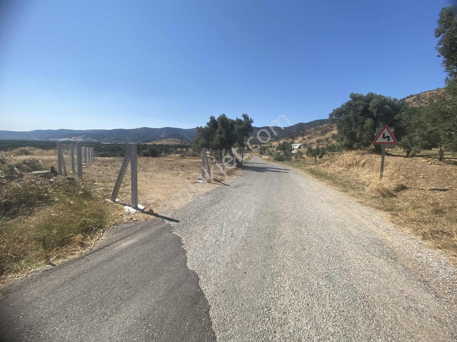 Akar Emlaktan Satılık Zeytinlik - Görsel 14