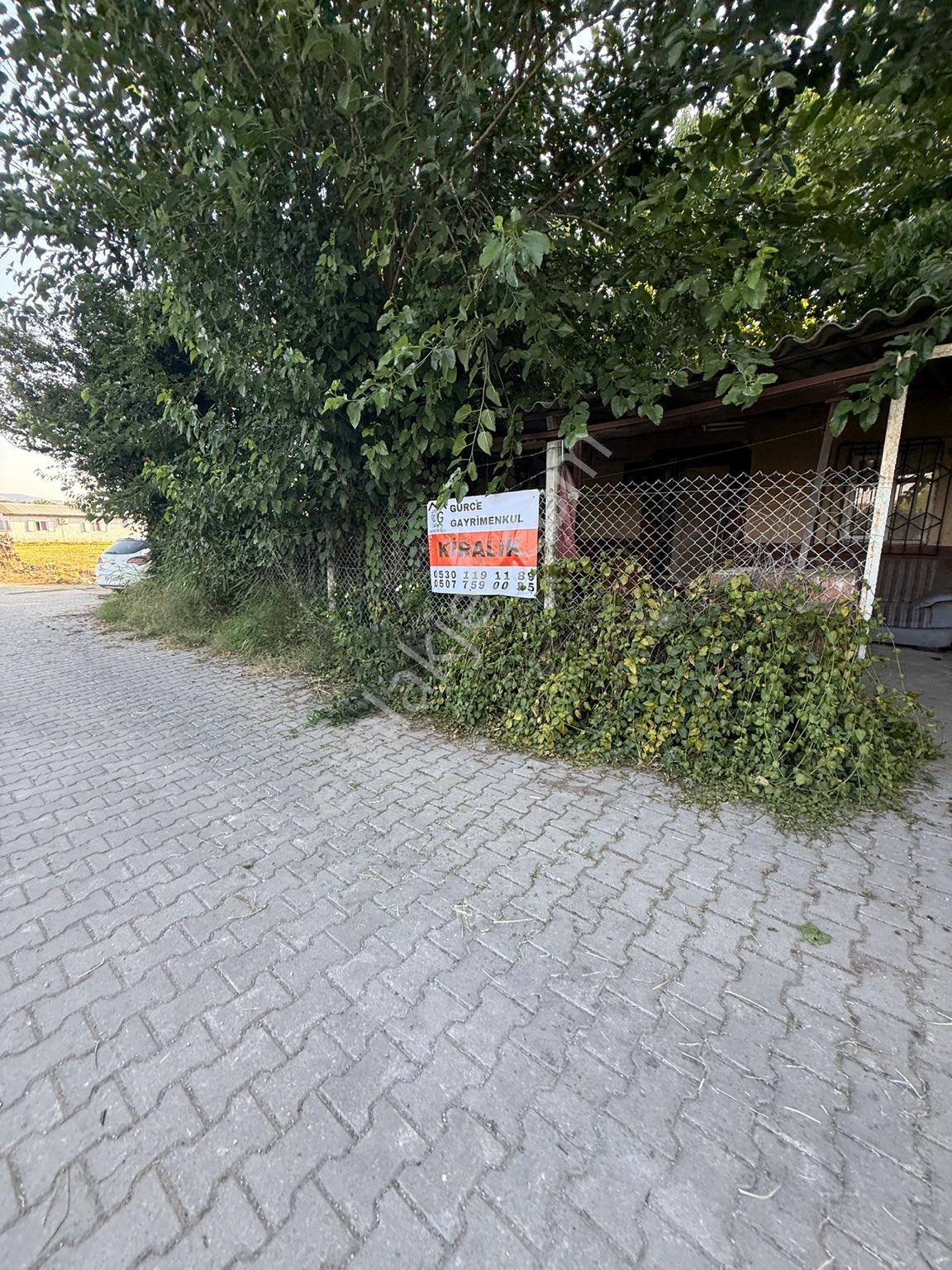 Aydın Efeler Umurlu Mahallesinde Kiralık Müstakil Ev