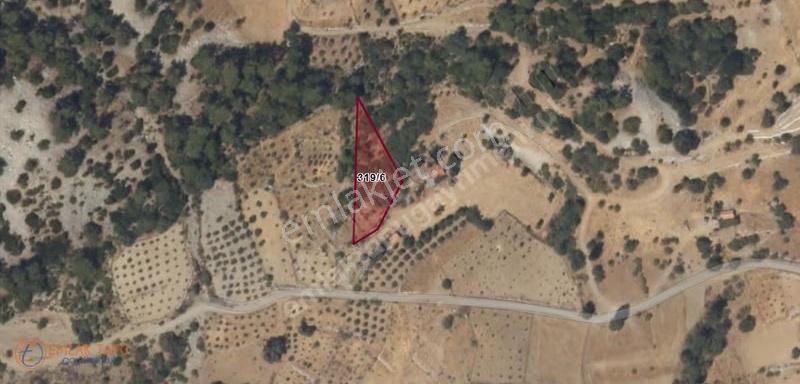 Muğla Menteşe Çatakbağyaka Mah. Satılık 1.729 M2 Tarla