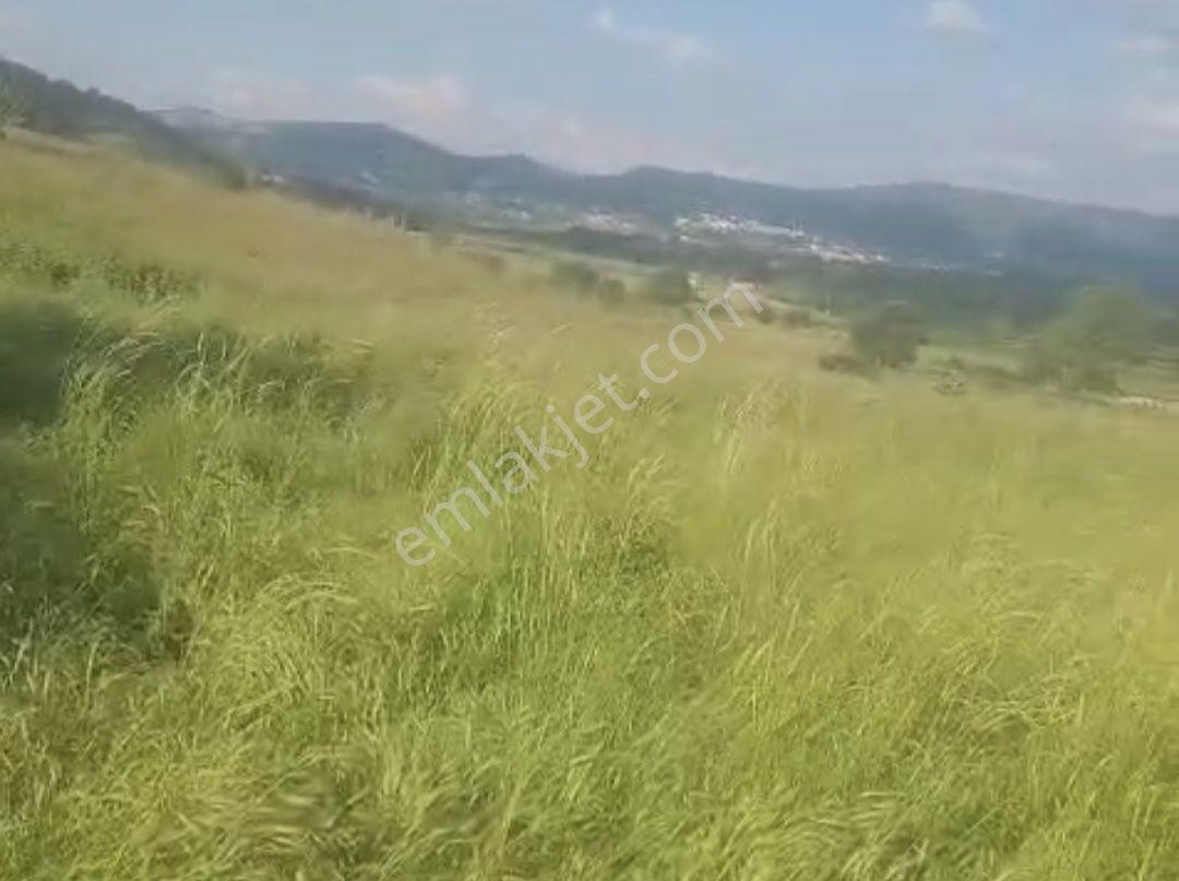 Murat Türkmen'den Balıkesir'de Tek_tapu Yola_cepheli 1075m2_arsa - Görsel 8