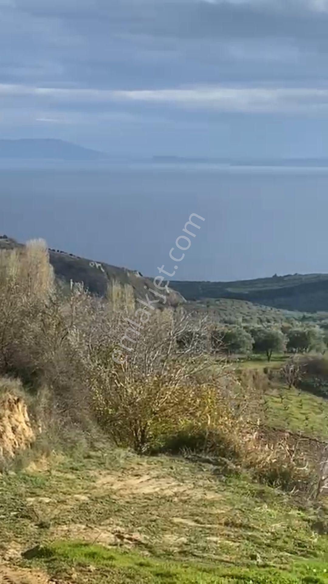 Tekirdağ Şarköy Kirazlı Mahallesi'nde Muhteşem Deniz Manzaralı Satılık Tarla - Görsel 4