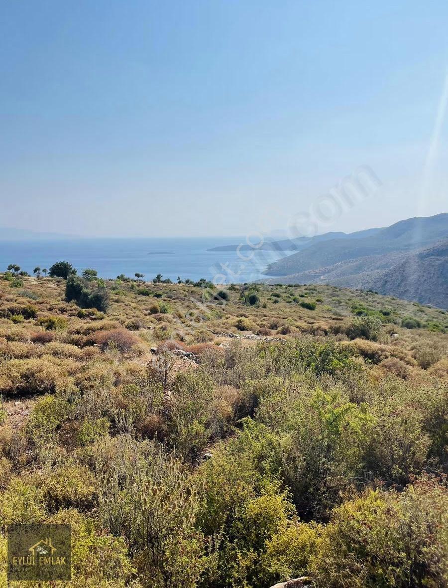 Bodrum Mazı'da Maviye Komşu,satılık Deniz Manzaralı Tarla - Görsel 12