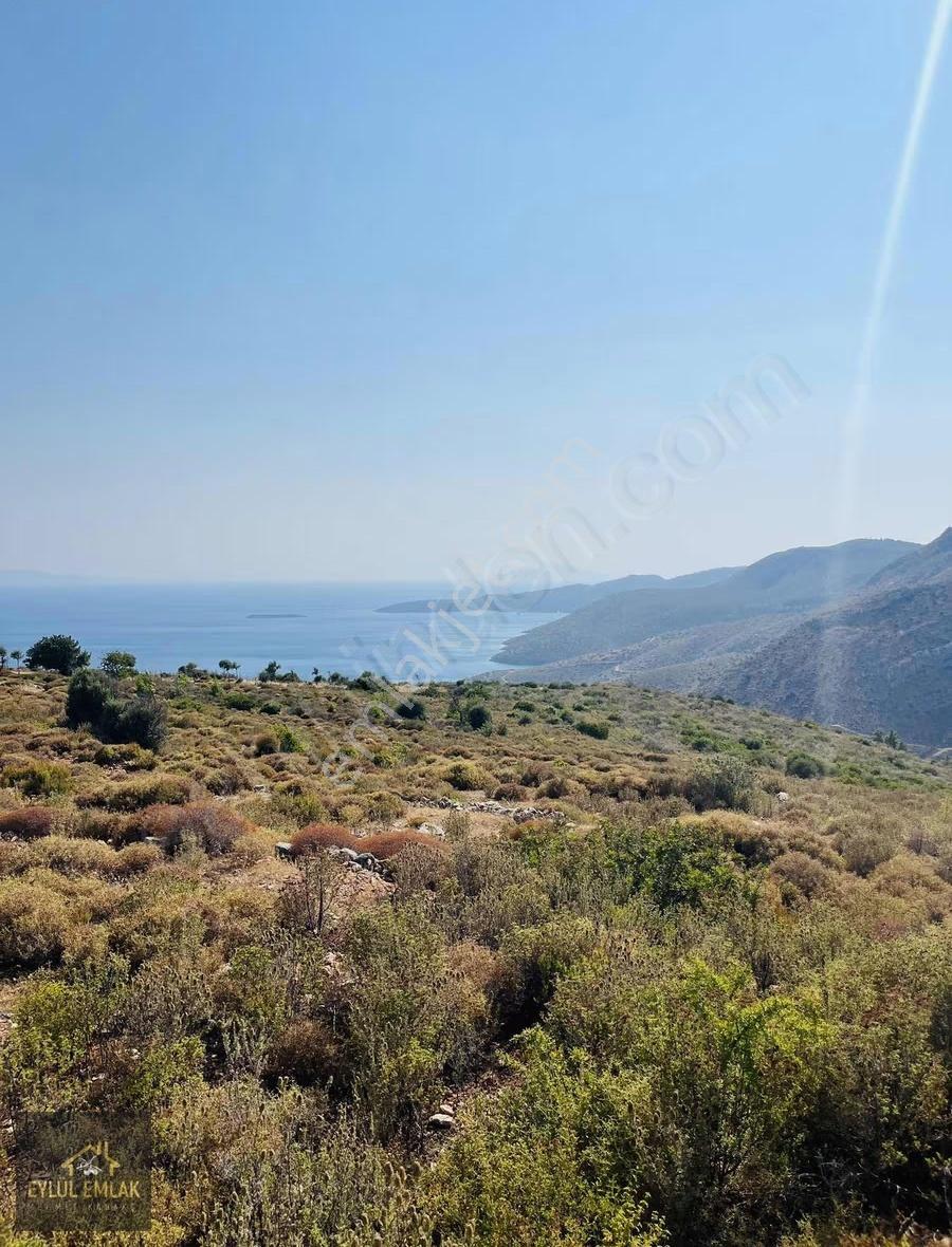 Bodrum Mazı'da Maviye Komşu,satılık Deniz Manzaralı Tarla - Görsel 11