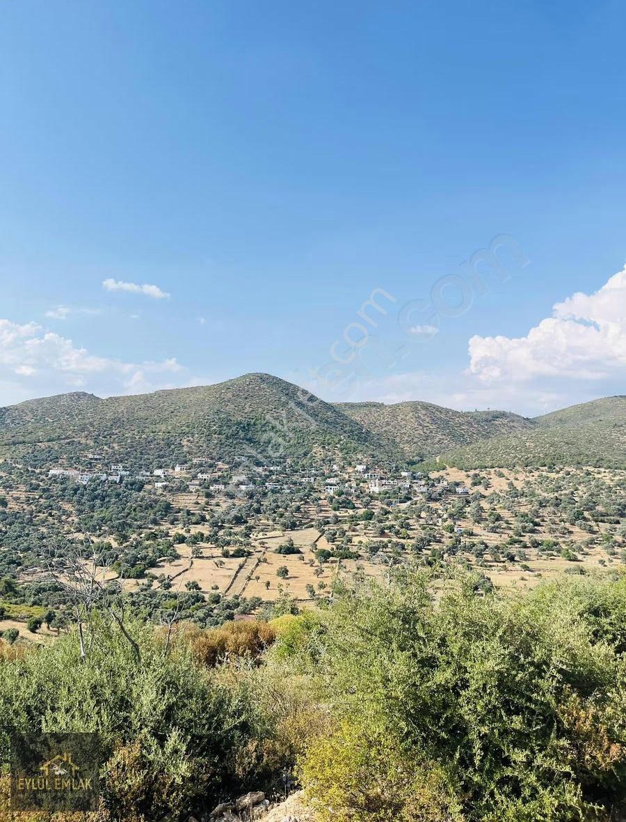 Bodrum Mazı'da Maviye Komşu,satılık Deniz Manzaralı Tarla - Görsel 23