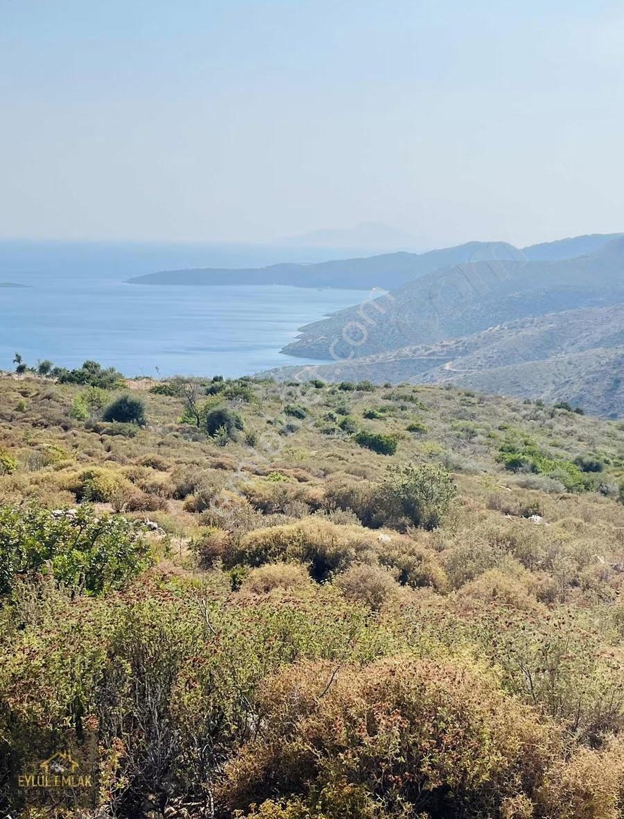 Bodrum Mazı'da Maviye Komşu,satılık Deniz Manzaralı Tarla - Görsel 13
