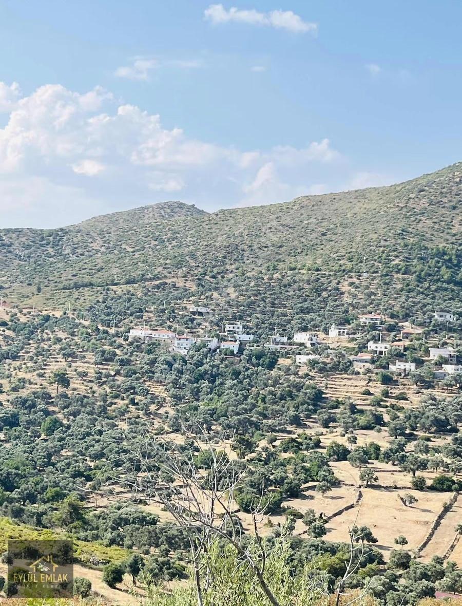 Bodrum Mazı'da Maviye Komşu,satılık Deniz Manzaralı Tarla - Görsel 25