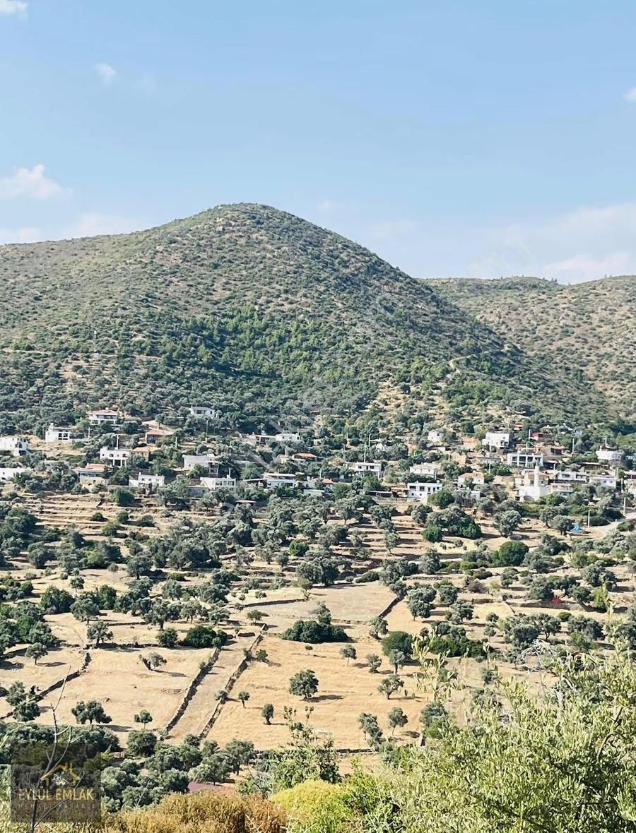 Bodrum Mazı'da Maviye Komşu,satılık Deniz Manzaralı Tarla - Görsel 19