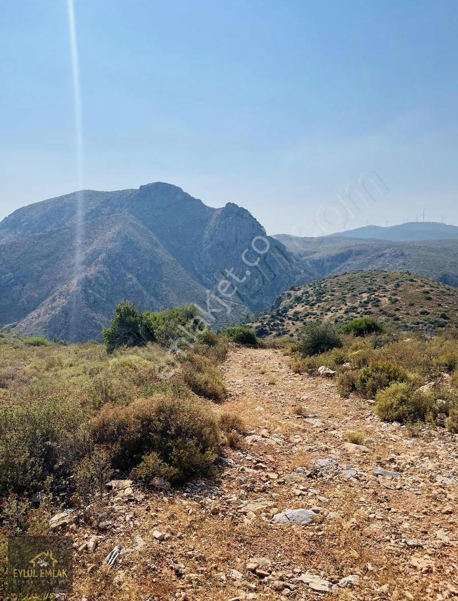 Bodrum Mazı'da Maviye Komşu,satılık Deniz Manzaralı Tarla - Görsel 5