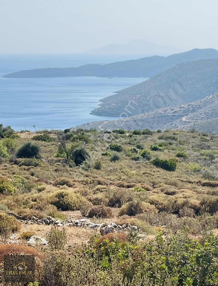 Bodrum Mazı'da Maviye Komşu,satılık Deniz Manzaralı Tarla - Görsel 6