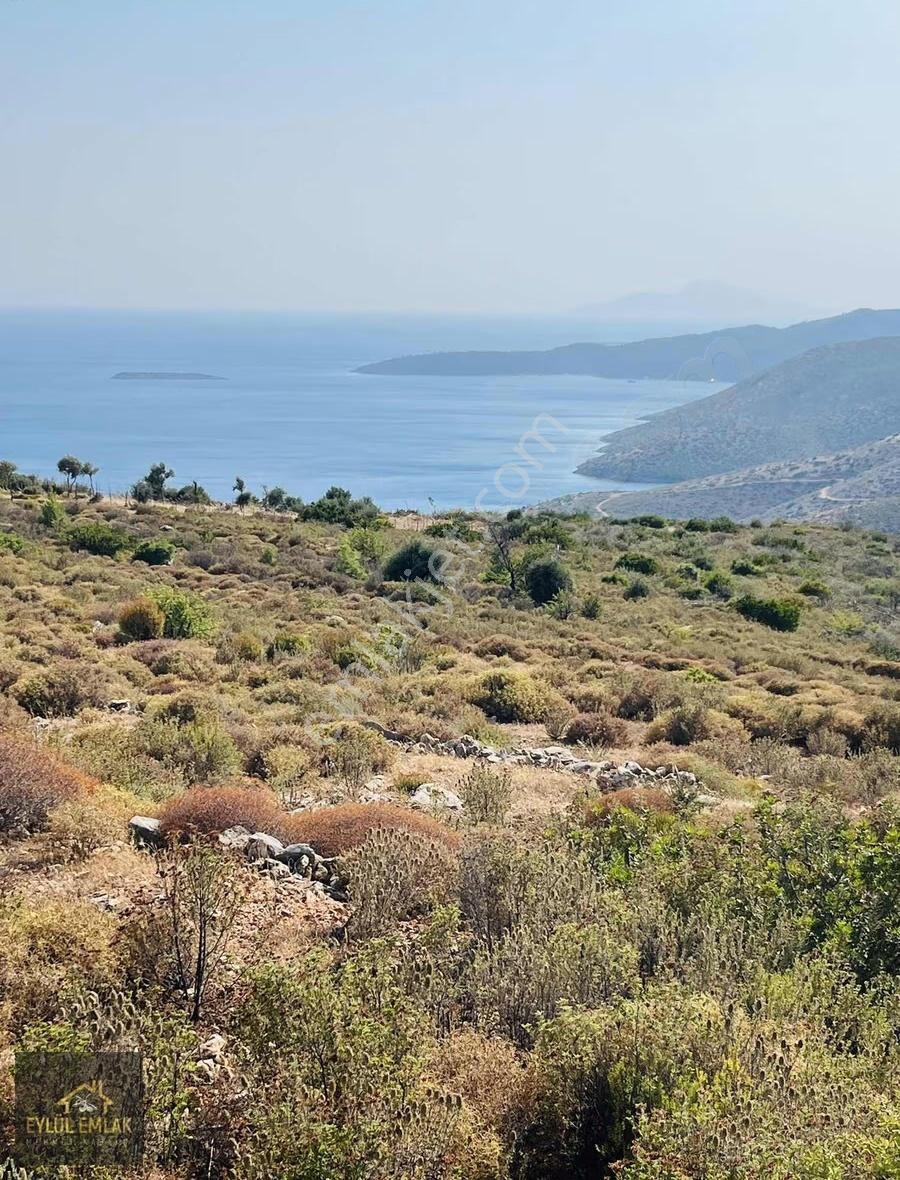 Bodrum Mazı'da Maviye Komşu,satılık Deniz Manzaralı Tarla - Görsel 15