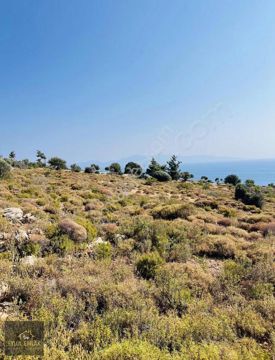 Bodrum Mazı'da Maviye Komşu,satılık Deniz Manzaralı Tarla - Görsel 24