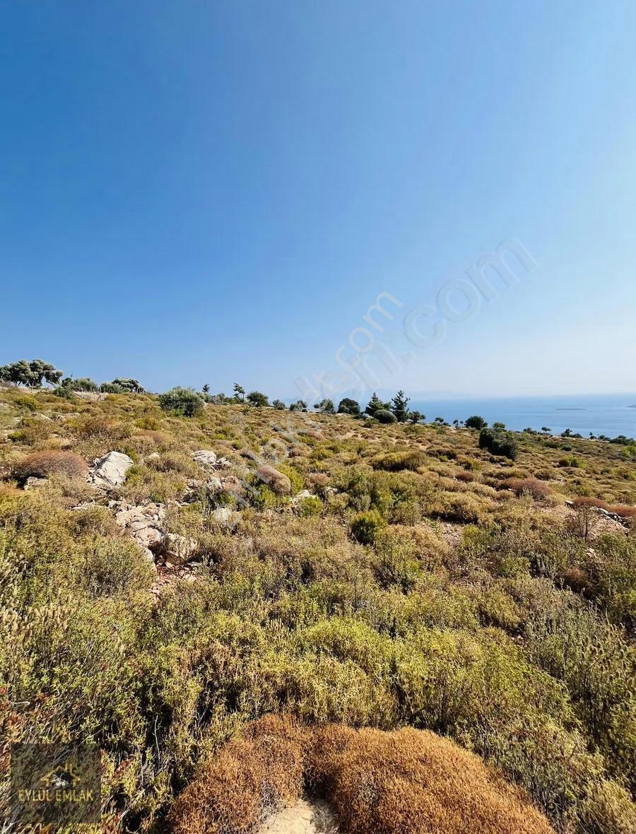 Bodrum Mazı'da Maviye Komşu,satılık Deniz Manzaralı Tarla - Görsel 17