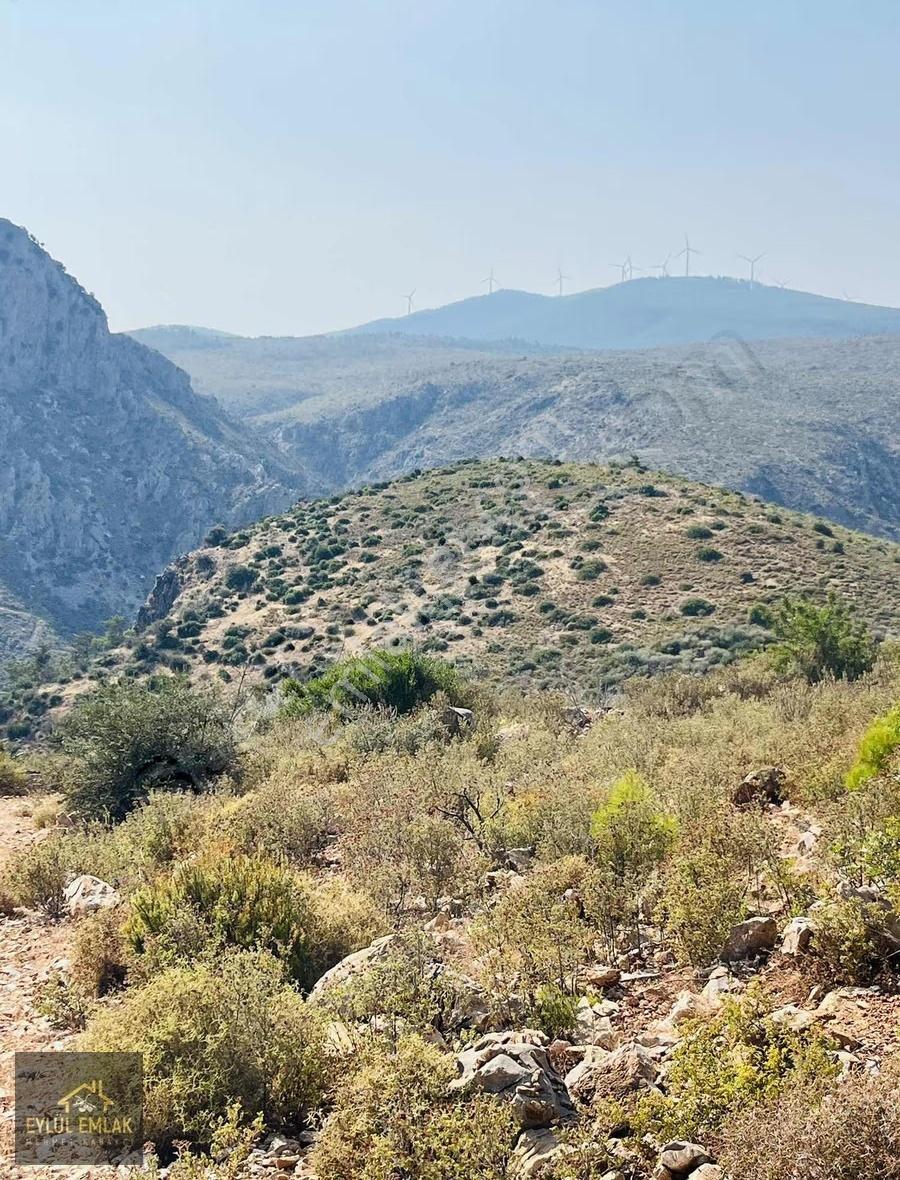 Bodrum Mazı'da Maviye Komşu,satılık Deniz Manzaralı Tarla - Görsel 7