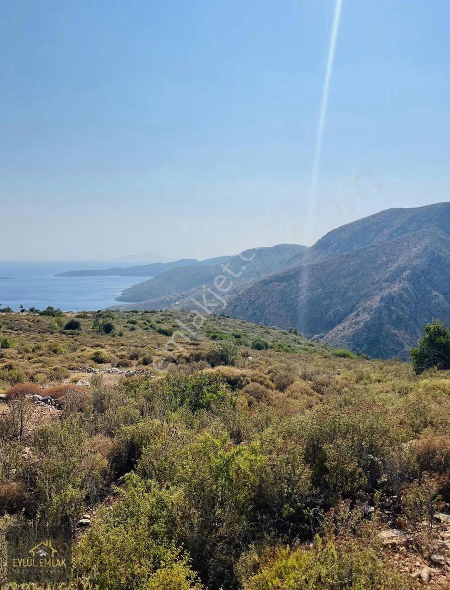 Bodrum Mazı'da Maviye Komşu,satılık Deniz Manzaralı Tarla - Görsel 16