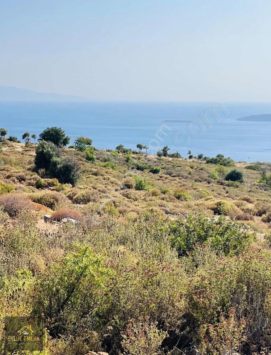 Bodrum Mazı'da Maviye Komşu,satılık Deniz Manzaralı Tarla - Görsel 4