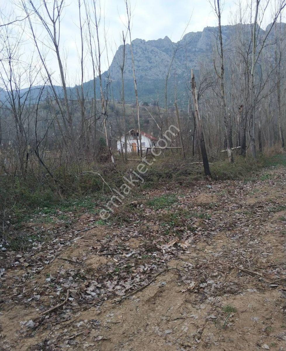 Adaplatin'den İnhisar Merkezde 1027m2 Yol Ve Nehir Kenarı Bahçe - Görsel 21