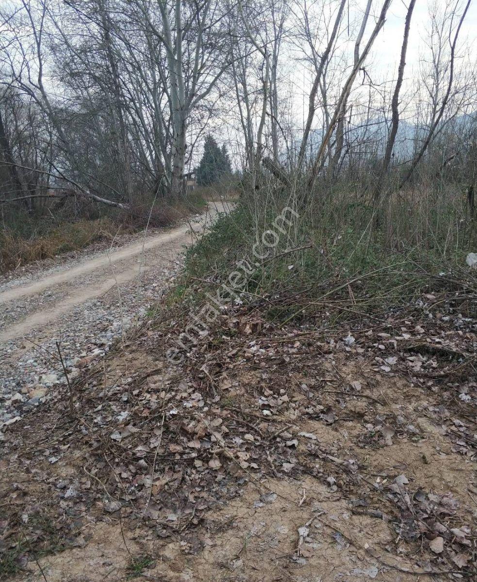Adaplatin'den İnhisar Merkezde 1027m2 Yol Ve Nehir Kenarı Bahçe - Görsel 12