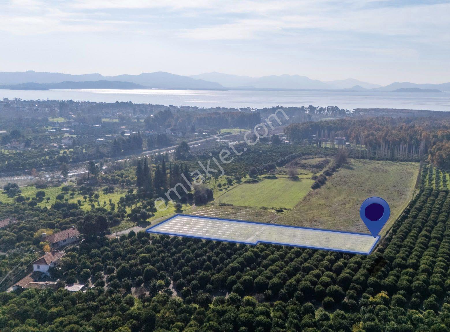 Muğla Köyceğiz Ulucami Mahallesi 4.000 M² Yol Cepheli Tarla - Görsel 9