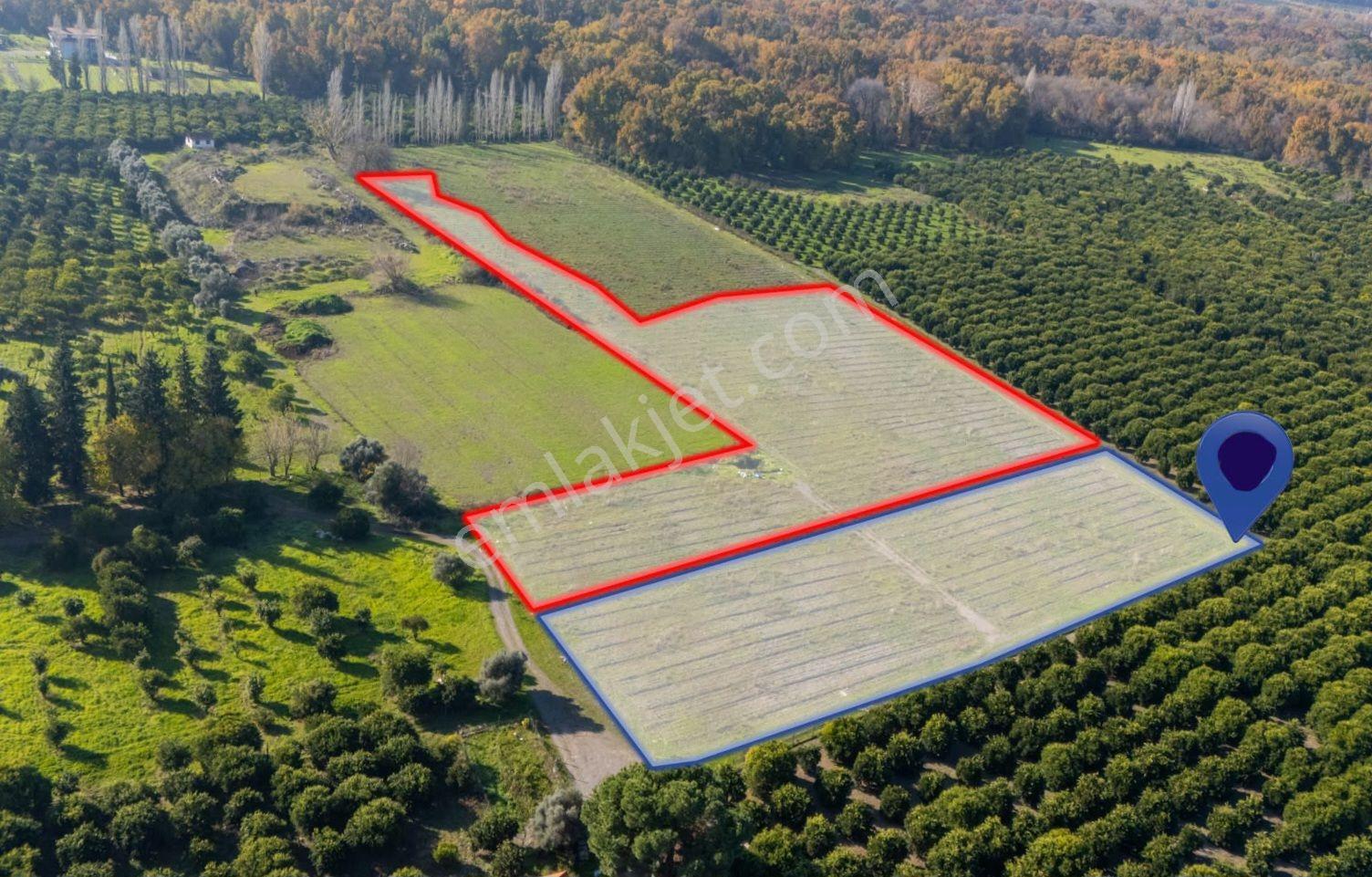 Muğla Köyceğiz Ulucami Mahallesi 4.000 M² Yol Cepheli Tarla - Görsel 8