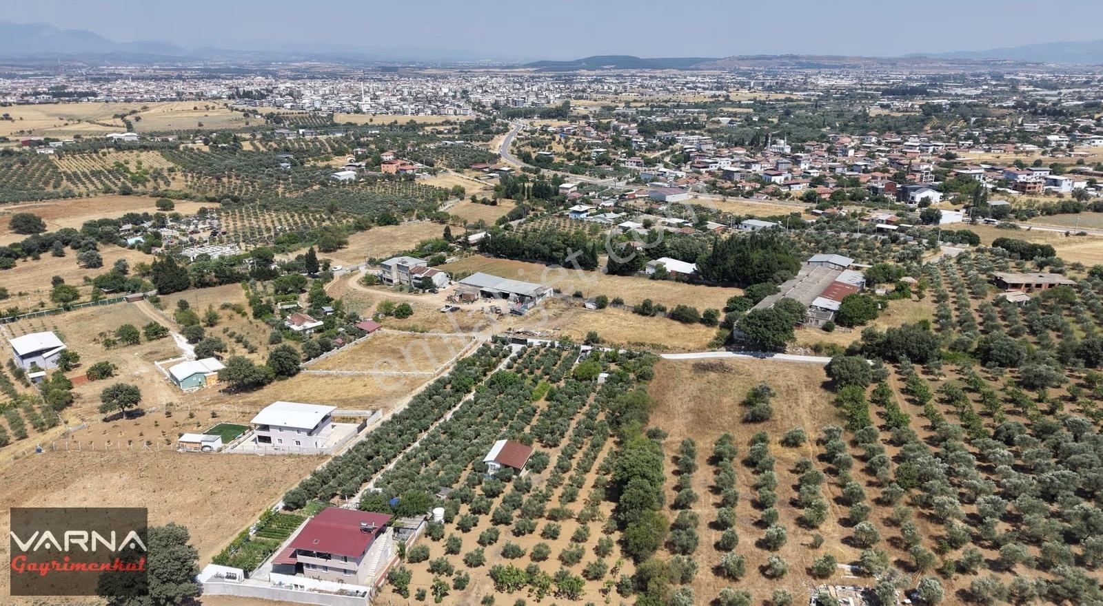 Menderes Dereköy'de Satılık 4765 M2 Resmi Tapulu Tarla - Görsel 17
