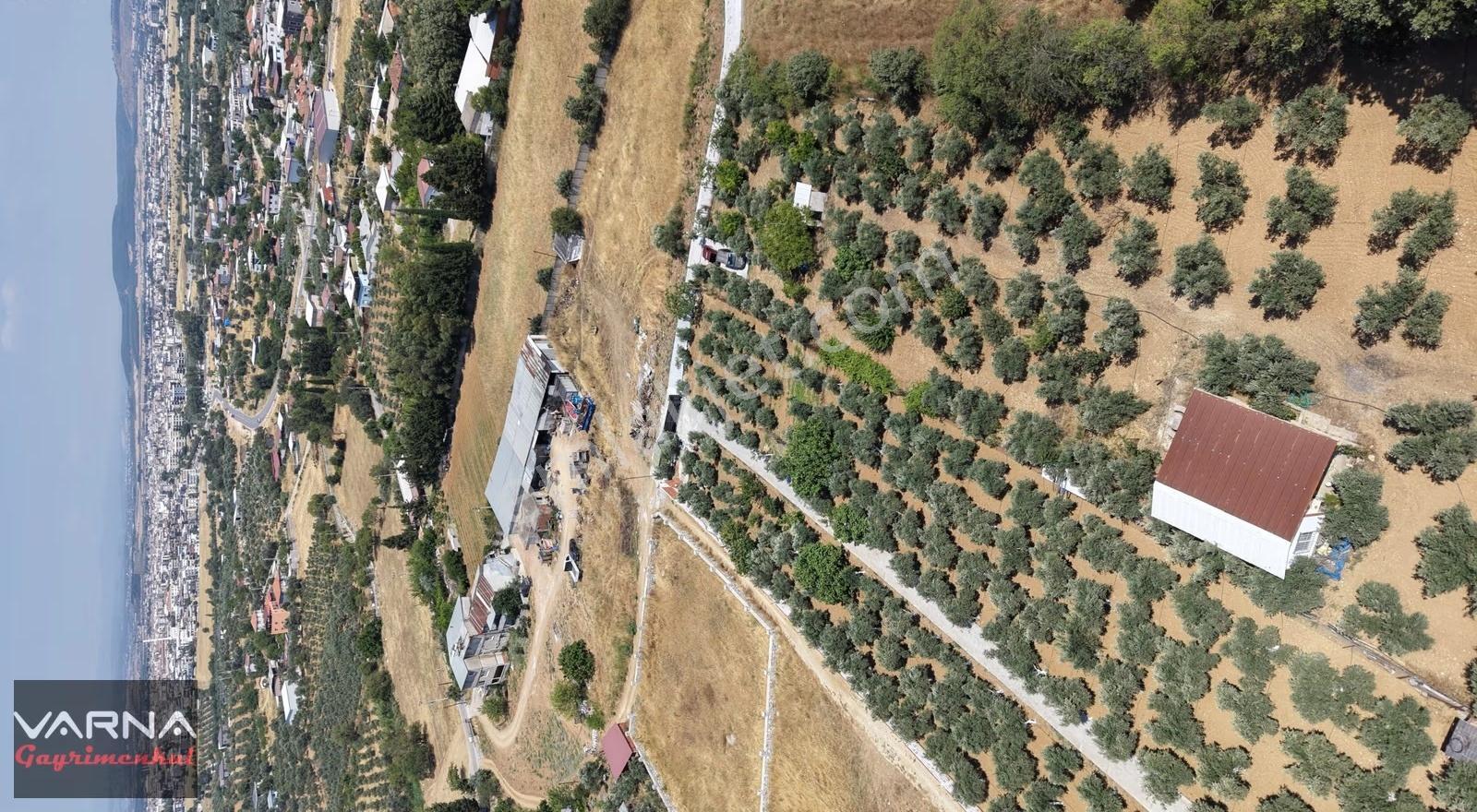 Menderes Dereköy'de Satılık 4765 M2 Resmi Tapulu Tarla - Görsel 5