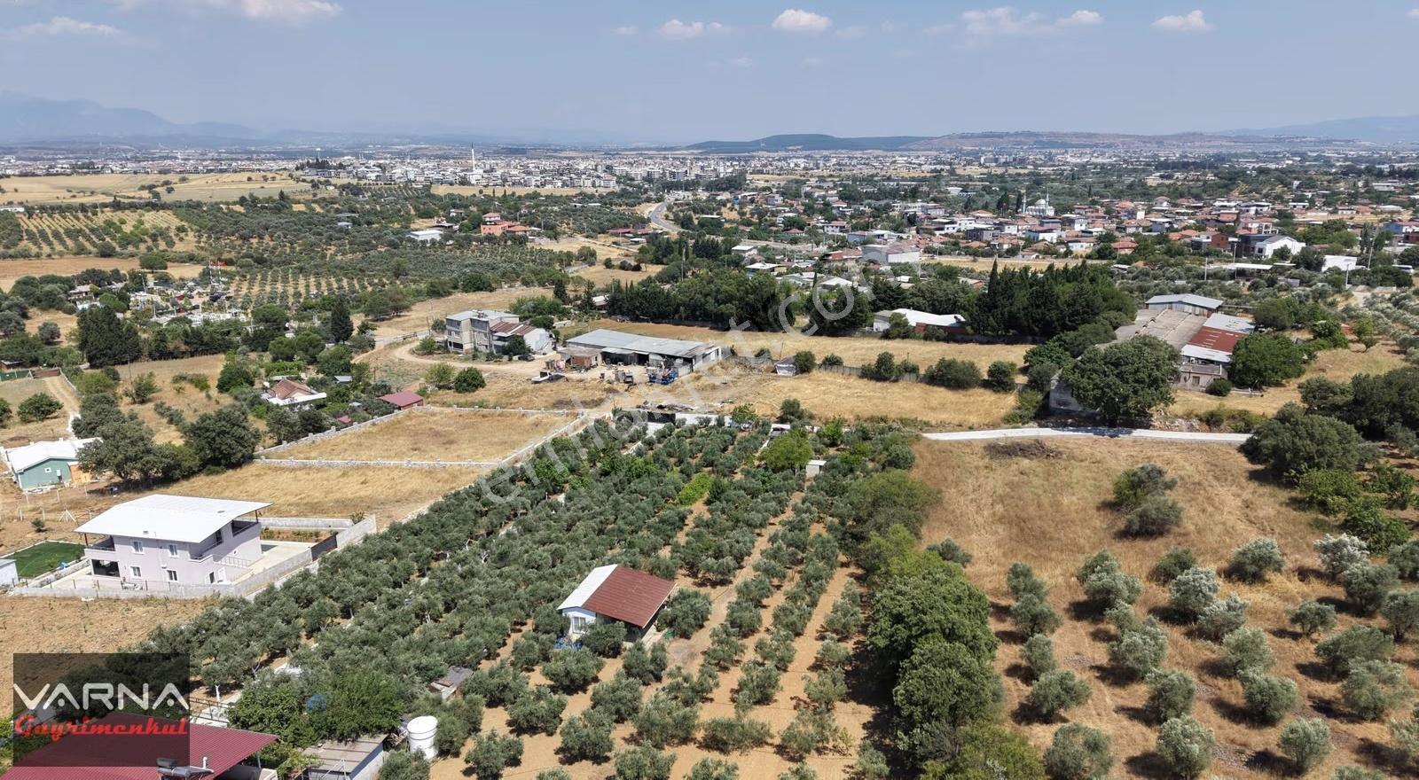 Menderes Dereköy'de Satılık 4765 M2 Resmi Tapulu Tarla - Görsel 15